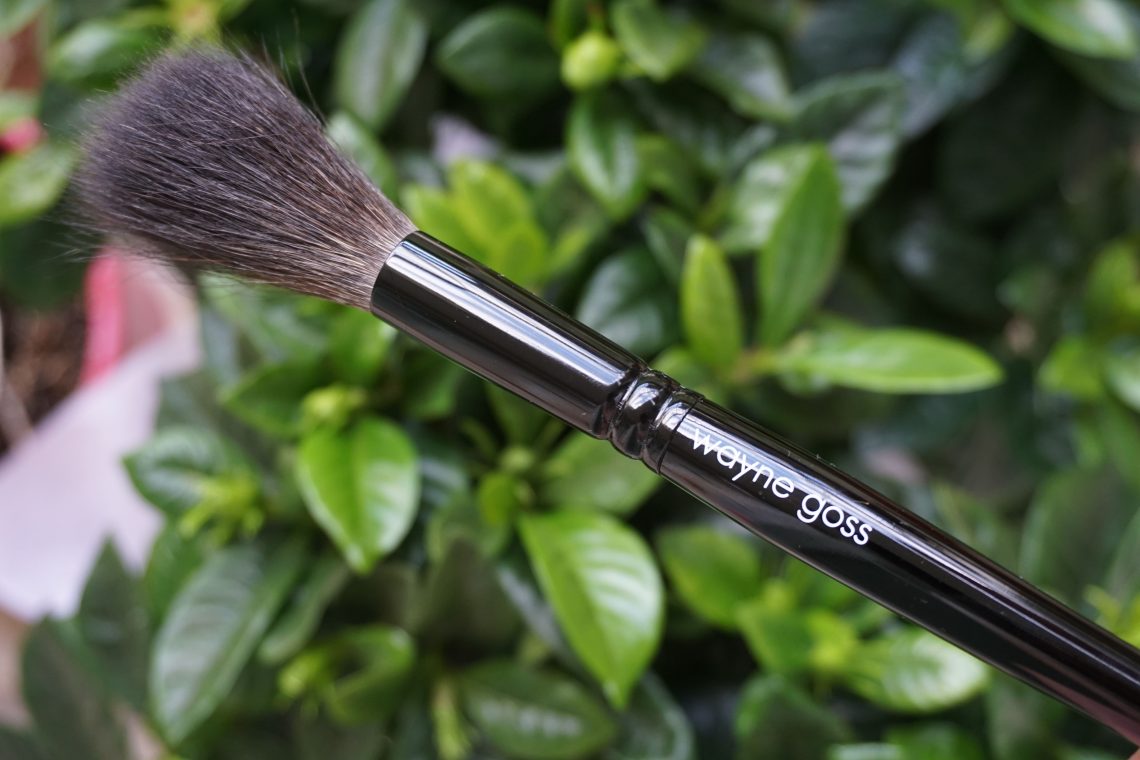 Wayne Goss Holiday 2017 Brush