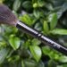 Wayne Goss Holiday 2017 Brush