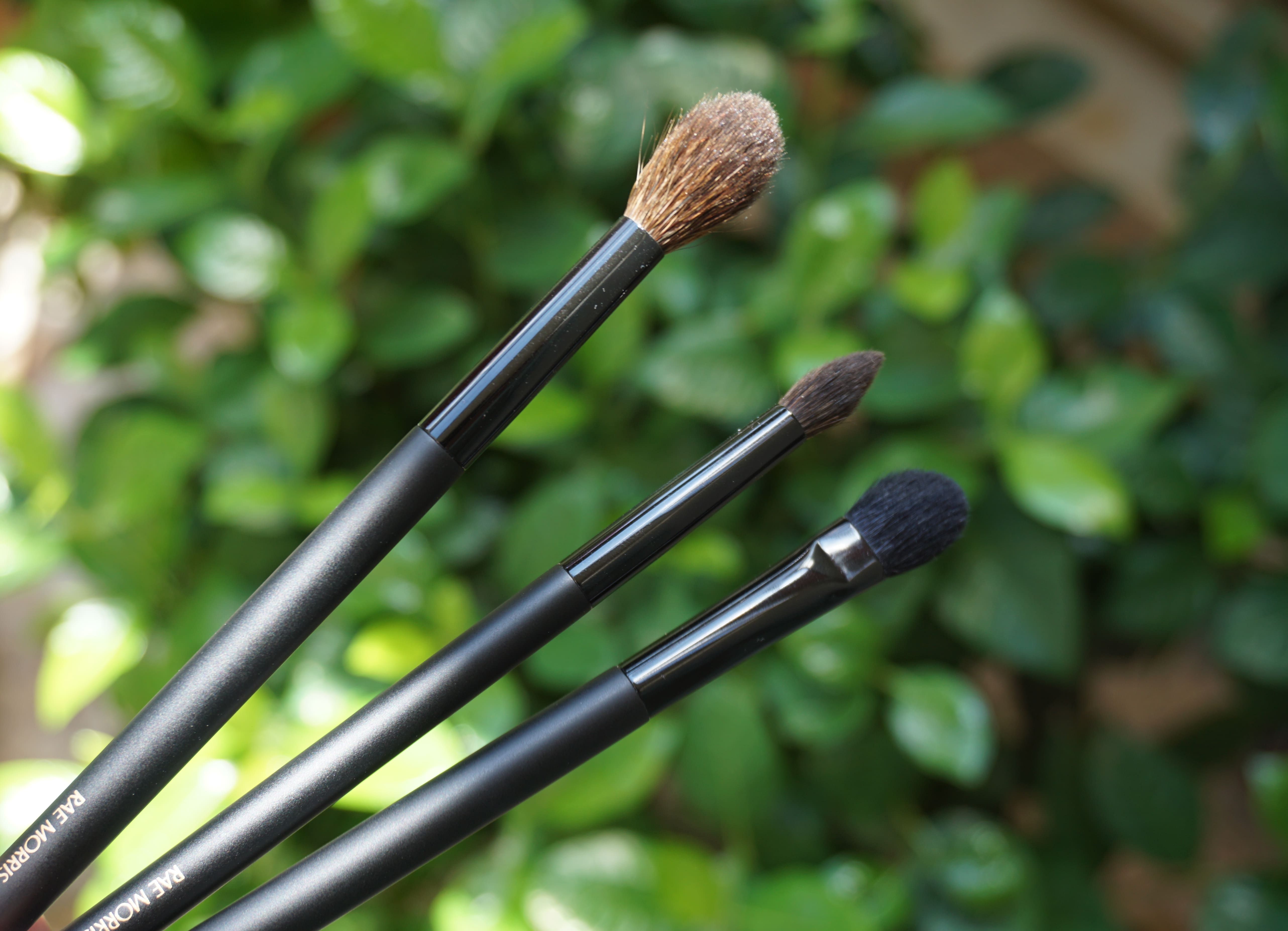 Rae Morris Eye Brushes