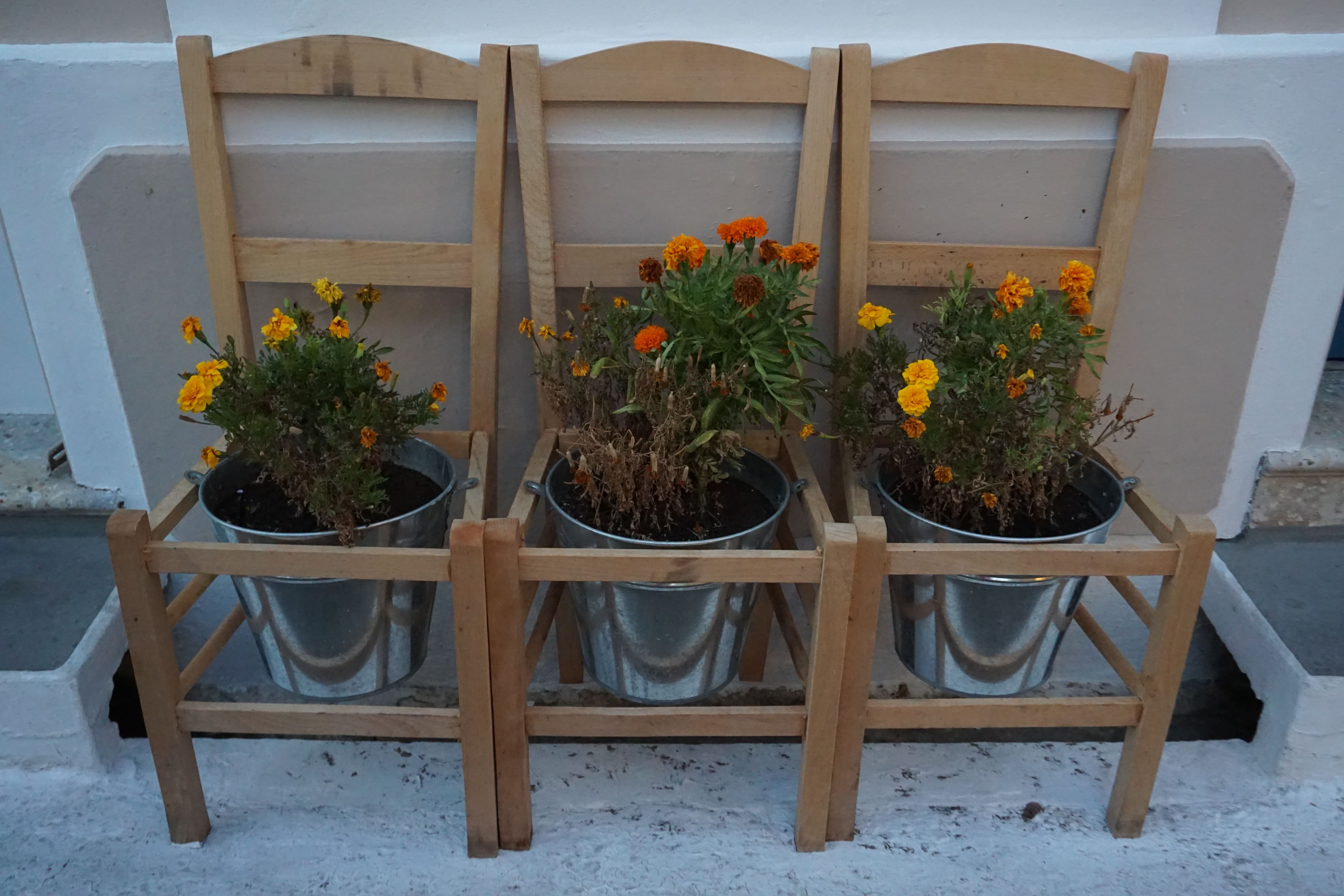 Chora Kythera Flower Chairs
