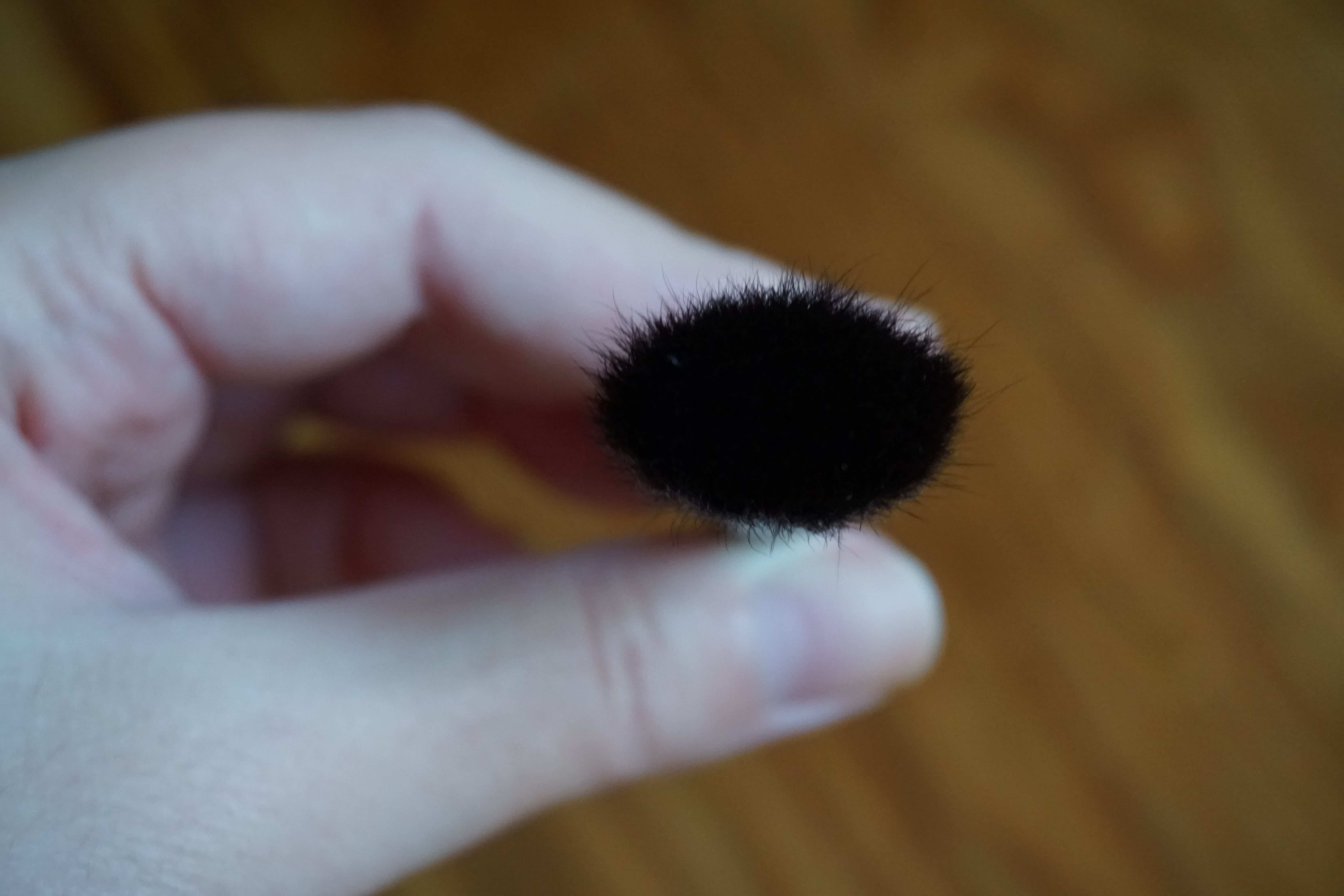 SUQQU Cheek Brush