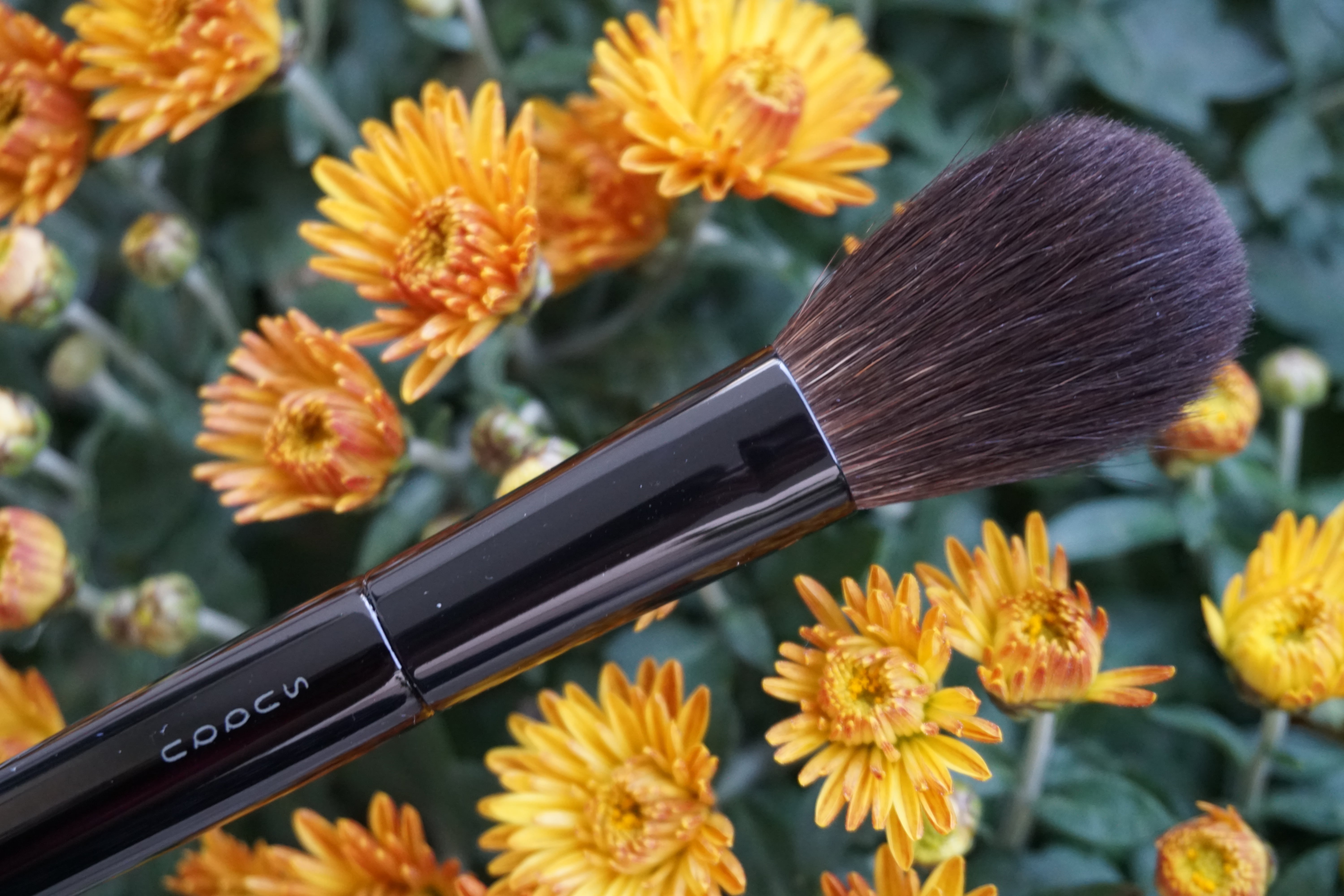 SUQQU Cheek Brush